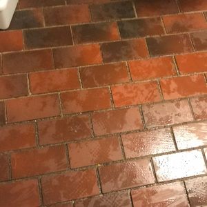 Meet your Posher, Rosie